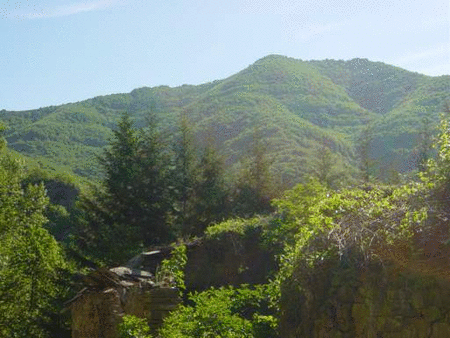 Italia: in 20 anni 2 mln di ettari di foreste in più 